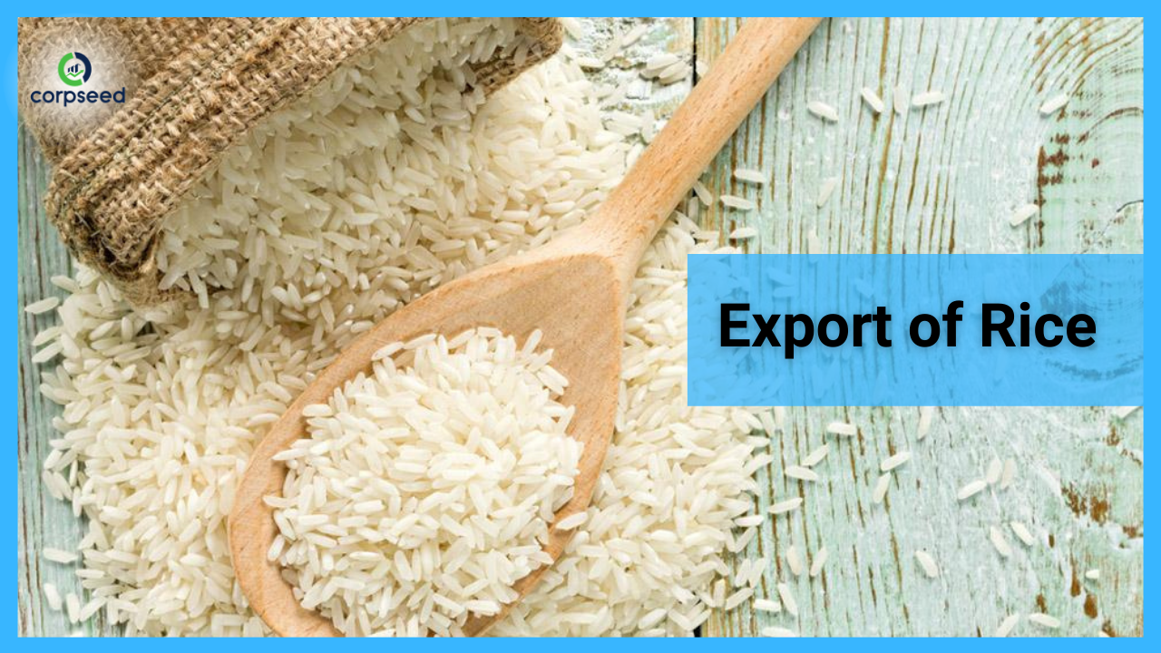 Export of Rice.png
